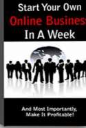Internet Business Beginners Guide