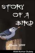 Story of a Bird