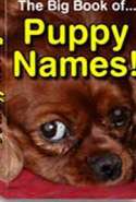 The Big Book of Puppy Names