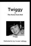 Twiggy in the Home From Hell