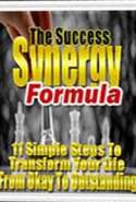 The Success Synergy Formula