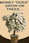 Money Does Grow on Trees You Just Have to Believe