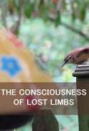 The Consciousness of Lost Limbs