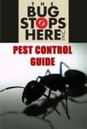 The Bugs Stop Here Pest Control Guide