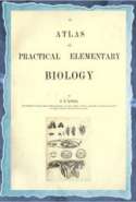 An Atlas of Practical Elementary Biology (1885)