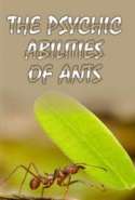 The Psychic Abilities of Ants