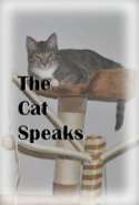 The Cat Speaks