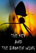 The Key and the Broken Wing