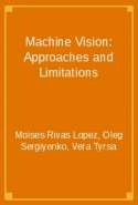 Machine Vision: Approaches and Limitations