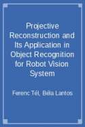 Projective Reconstruction and Its Application in Object Recognition for Robot Vision System