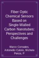 Fiber Optic Chemical Sensors Based on Single-Walled Carbon Nanotubes: Perspectives and Challenges
