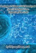 Development of Human Fetal Mesenchymal Stem Cell Mediated Tissue Engineering Bone Grafts