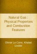 Natural Gas : Physical Properties and Combustion Features