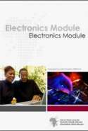 Electronics Module