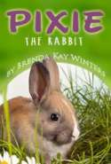Pixie the Rabbit