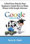 A Real Easy Step by Step Beginners Guide How to Make Money with Google Adsense