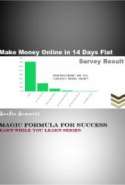 Make Money Online In 14 Days Flat - Magic Formula For Success