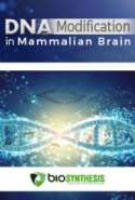 DNA Modification in Mammalian Brain