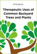 Therapeutic Uses of Common Backyard Trees and Plants