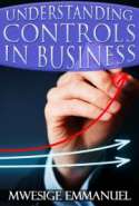 Understanding Business Controls