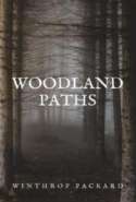 Woodland Paths