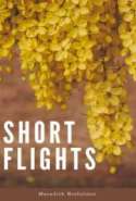Short Flights