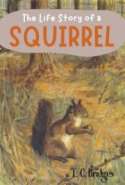 The Life Story of a Squirrel