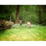 Inspiration can come from surprising places