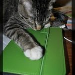 Credit - fyrfli@Flickr.com