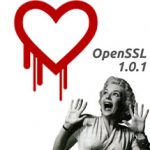 e-Book Reader at Risk