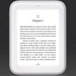 Consumer Review of the Sale Priced Barnes & Noble Nook Glowlight