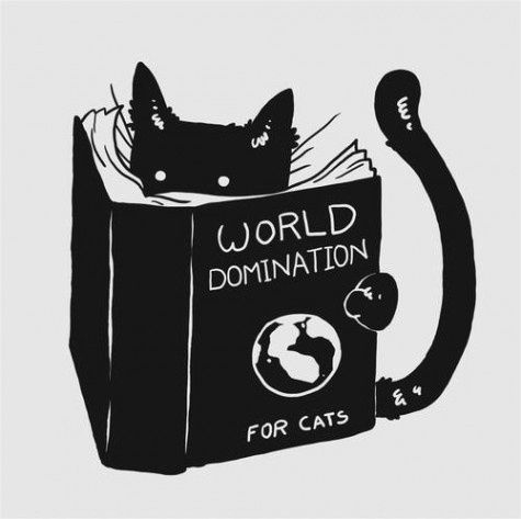 Happy #InternationalCatDay 🐱