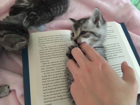 When your bookmark bites… #lol