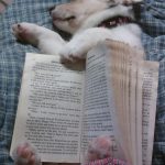 This is the loveliest bookmark ever…