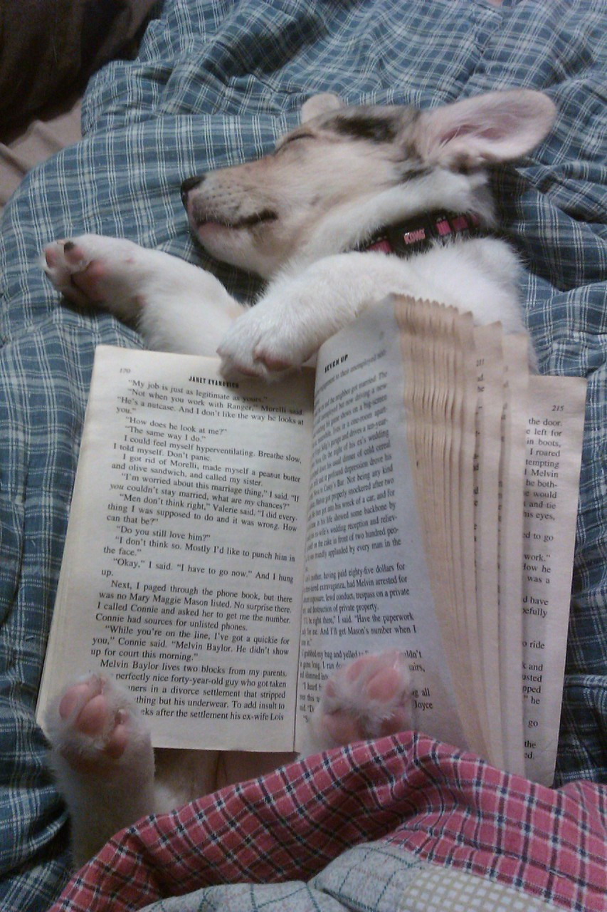 This is the loveliest bookmark ever…