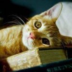 The saddest feeling ever!