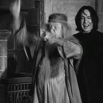 Yes, it’s #HarryPotter 20th Anniversary. Let’s celebrate the magic!