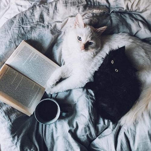 Yin and Yang: They are two opposite yet complementary energies.