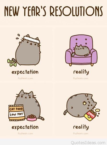 The countdown is on — New Year’s Resolutions are right around the corner 😅😅😅