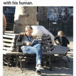 Booklovers’ kind of doggo! 🐕 💕