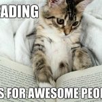 Happy International Cat Day 🐱🐾