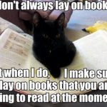 They find your books purrfect to sleep! 😅