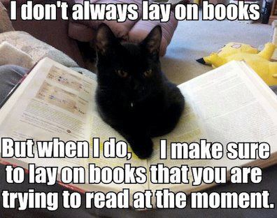 They find your books purrfect to sleep! 😅