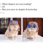 Things Bibliophiles are proud of… 😎