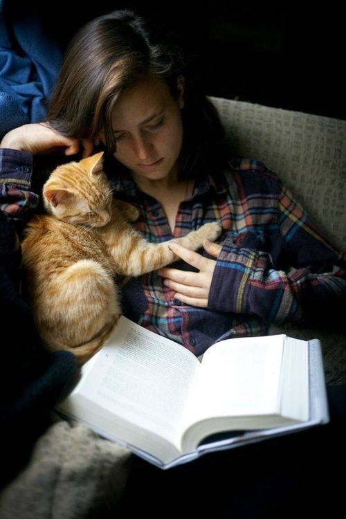 What could be better? 📚🐱♥