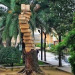 Life after death 🌳📚❤ Isn’t it beautiful?