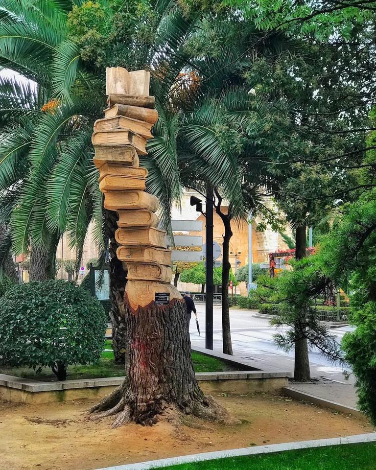 Life after death 🌳📚❤ Isn’t it beautiful?