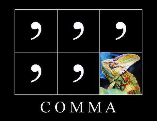More A little Friday humor to brighten your day! 🌞😁