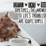 Happiness is appreciating the simple things in life! ❤