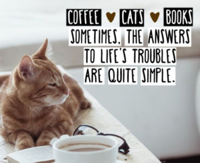 Happiness is appreciating the simple things in life! ❤